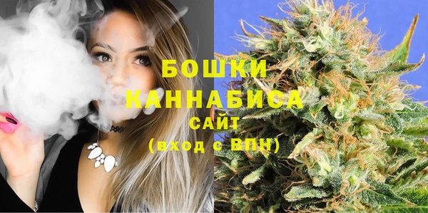 PSILOCYBIN Бугульма