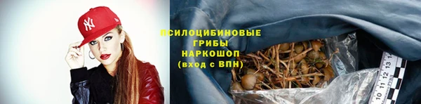 ALPHA-PVP Бородино
