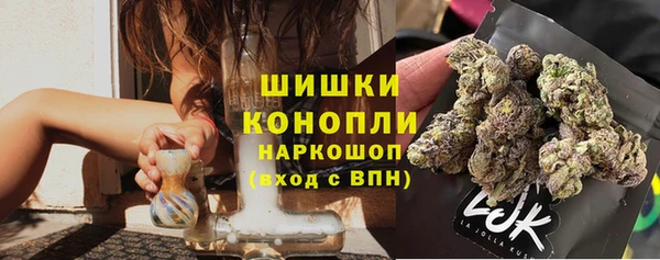 PSILOCYBIN Бугульма