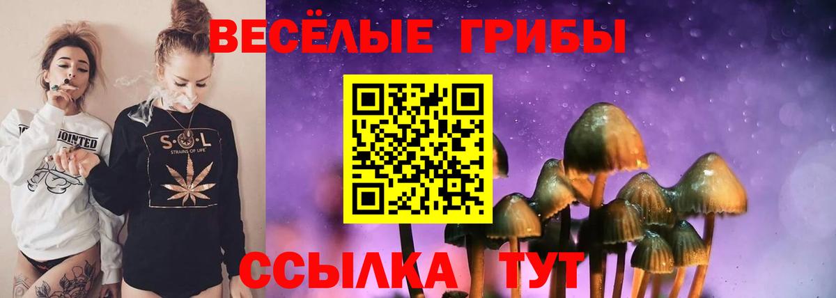 Галлюциногенные грибы GOLDEN TEACHER Медногорск