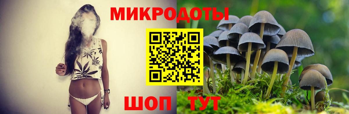 Галлюциногенные грибы GOLDEN TEACHER  Псилоцибиновые грибы Magic Shrooms  Вход с VPN  Медногорск 